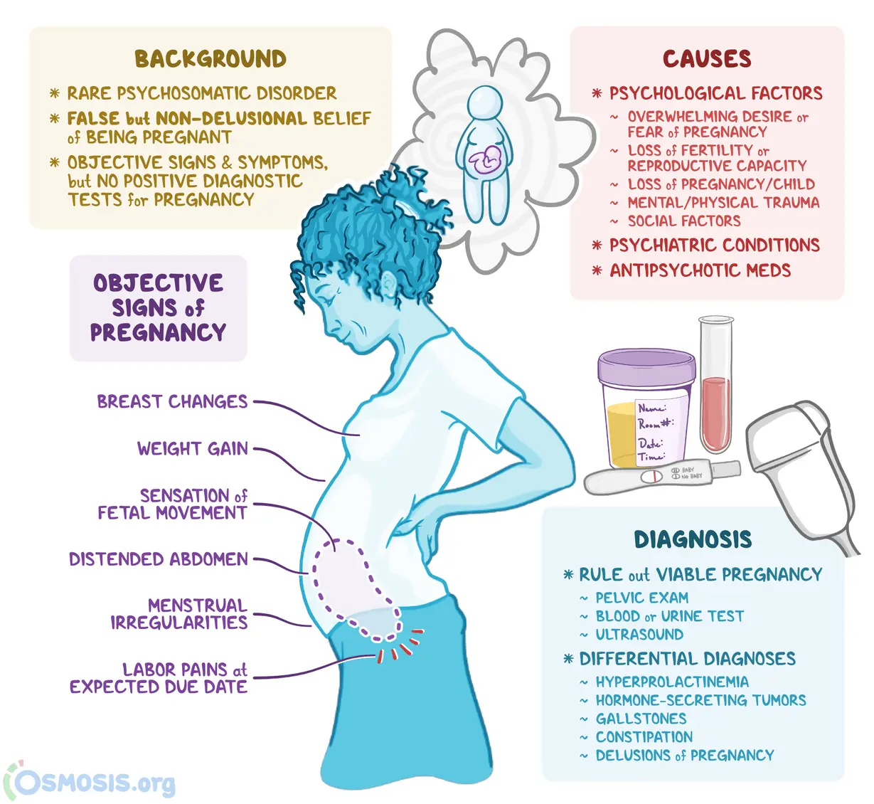 Pseudo-pregnancy &#8211; commonness, symptoms