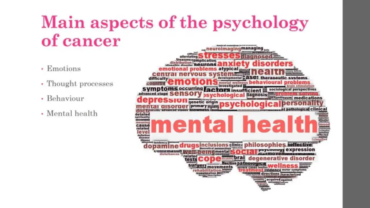 Psycho-oncology &#8211; what is it and what is its role?