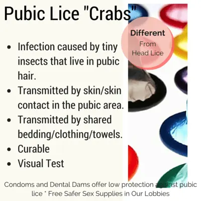 Pubic lice &#8211; the main causes and symptoms. Treatment of pubic lice