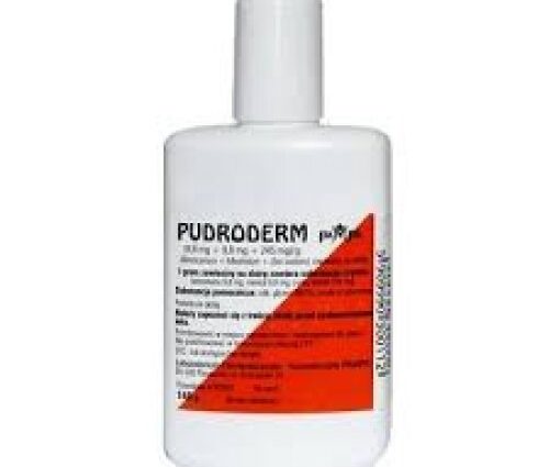 Pudroderm for use on the skin. What precautions should be taken during application?