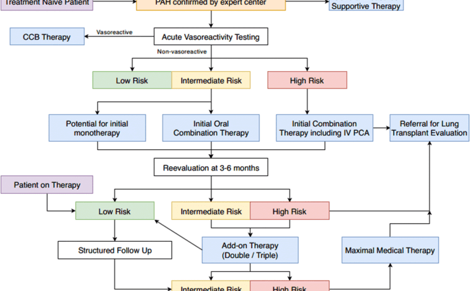 Pulmonary arterial hypertension &#8211; symptoms, morbidity, modern drugs, diagnostics