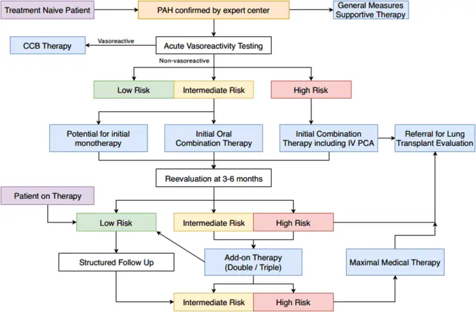 Pulmonary arterial hypertension &#8211; symptoms, morbidity, modern drugs, diagnostics