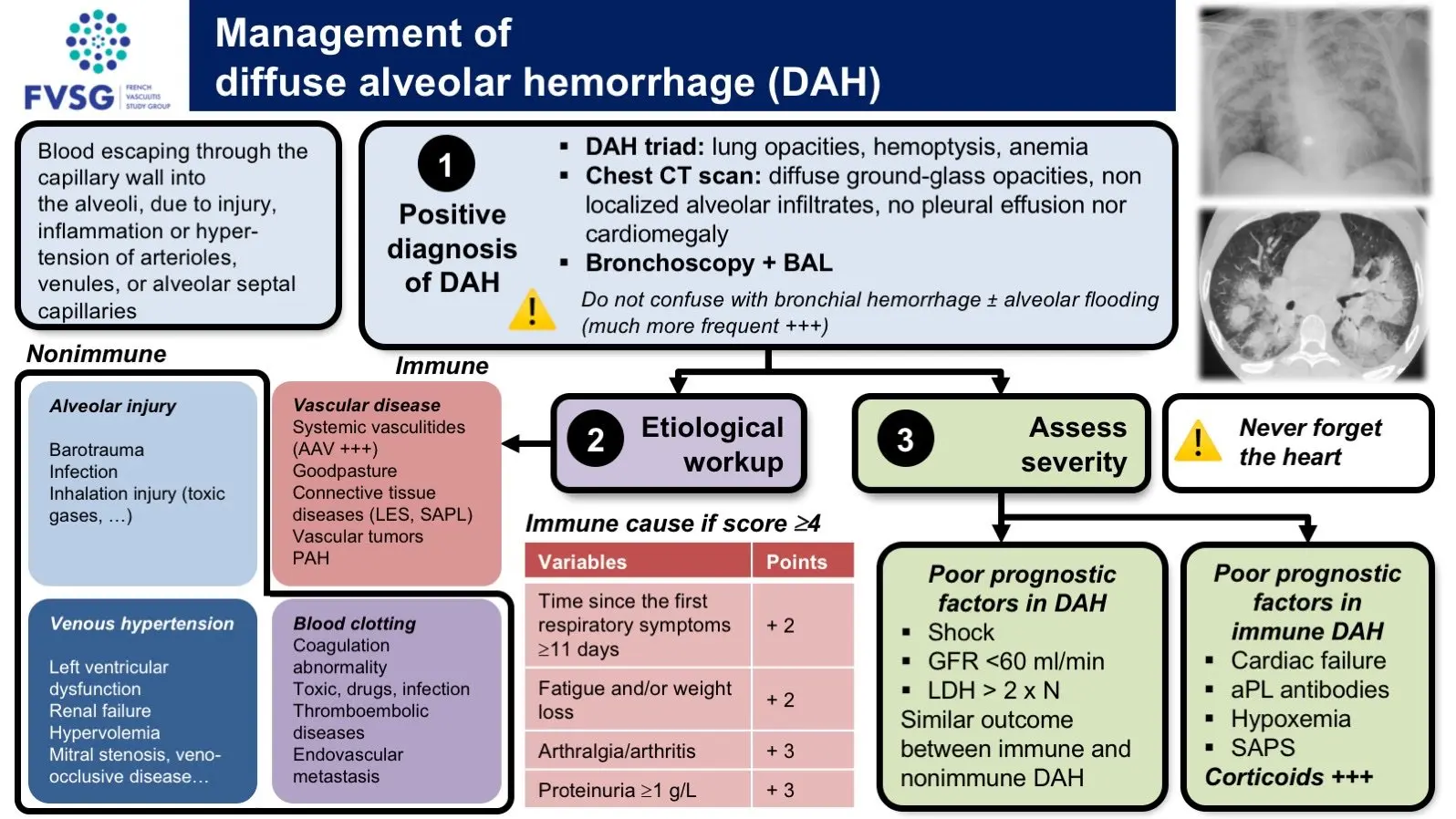 Pulmonary haemorrhage &#8211; causes, diagnosis, treatment