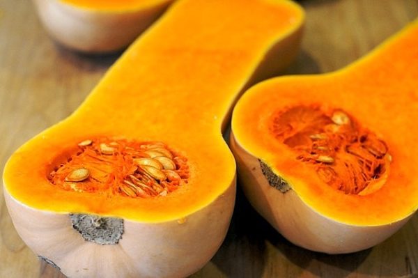 Pumpkin Butternut: yield, useful properties and consumer qualities of fruits + features of planting and growing