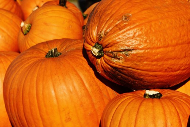 Pumpkin diet for weight loss and body cleansing