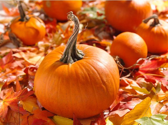 Pumpkin for diabetes: benefits and harms, is it possible to eat