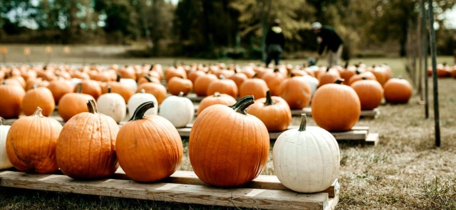 Pumpkin for diabetes: benefits and harms, is it possible to eat