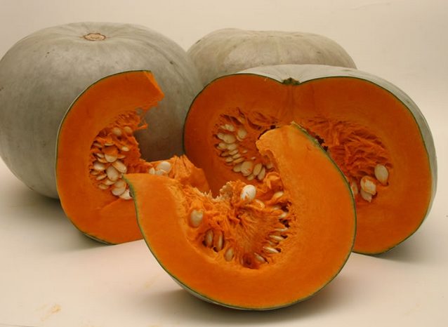 Pumpkin Gribovskaya winter