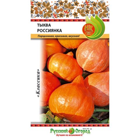 Pumpkin Rossiyanka: cultivation and care