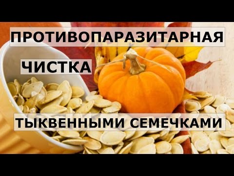 Pumpkin seeds from parasites (worms): reviews, admission rules