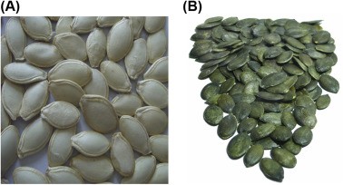 Pumpkin seeds from parasites (worms): reviews, admission rules