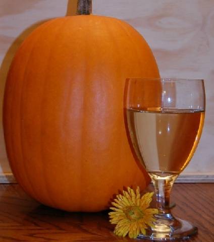 Pumpkin wine at home 