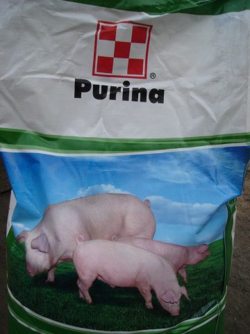 Purine for pigs and piglets