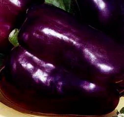 Purple Pepper Varieties Healthy Food Near Me 1360