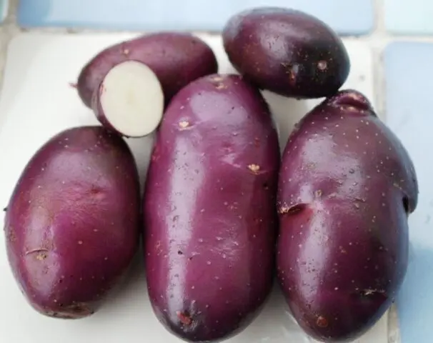 Purple potatoes: description of varieties, characteristics, photos, reviews, taste