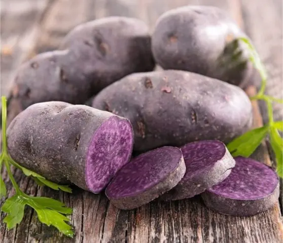 Purple potatoes: description of varieties, characteristics, photos, reviews, taste