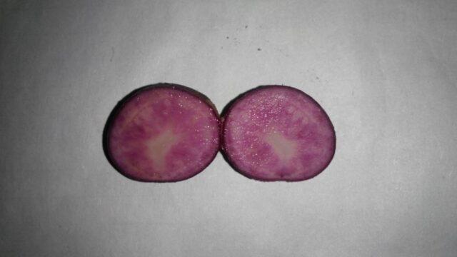 Purple potatoes: description of varieties, characteristics, photos, reviews, taste