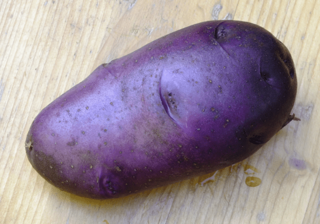 Purple potatoes: description of varieties, characteristics, photos, reviews, taste