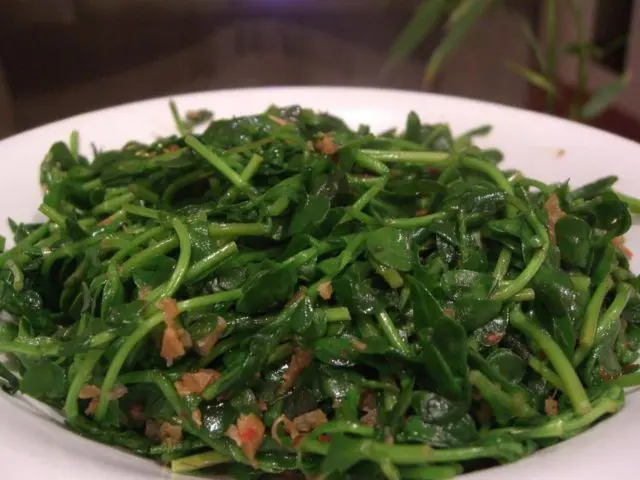 Purslane: how to cook, how to eat