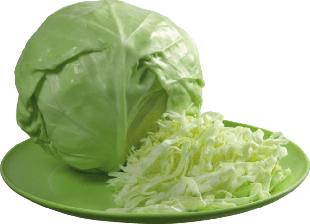 Quick pickling cabbage