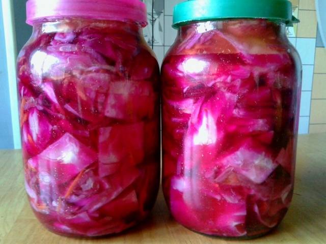 Quick pickling cabbage