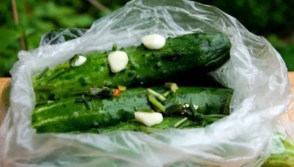 Quick recipe for lightly salted cucumbers in a bag