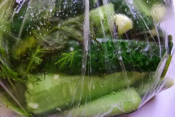 Quick recipe for lightly salted cucumbers in a bag