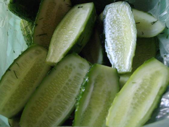 Quick recipe for lightly salted cucumbers in a bag