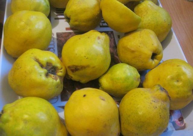 Quince jam with lemon: recipe