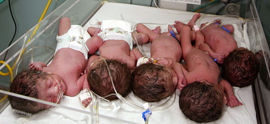 Quintuplets are born once in 52 million births. What is conducive to multiple pregnancy and how does it happen?