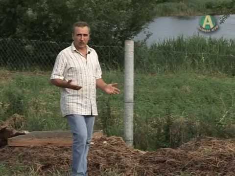 Rabbit manure as a fertilizer: how to use it correctly