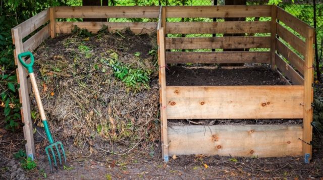 Rabbit manure as fertilizer: how to apply in the garden, reviews