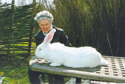 Rabbits Flanders: breeding and keeping at home