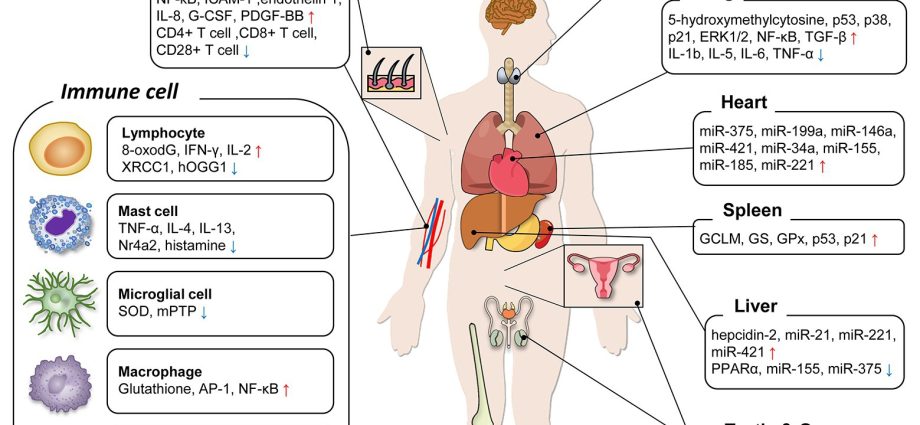 Radiation sickness &#8211; what pathological changes does it cause?