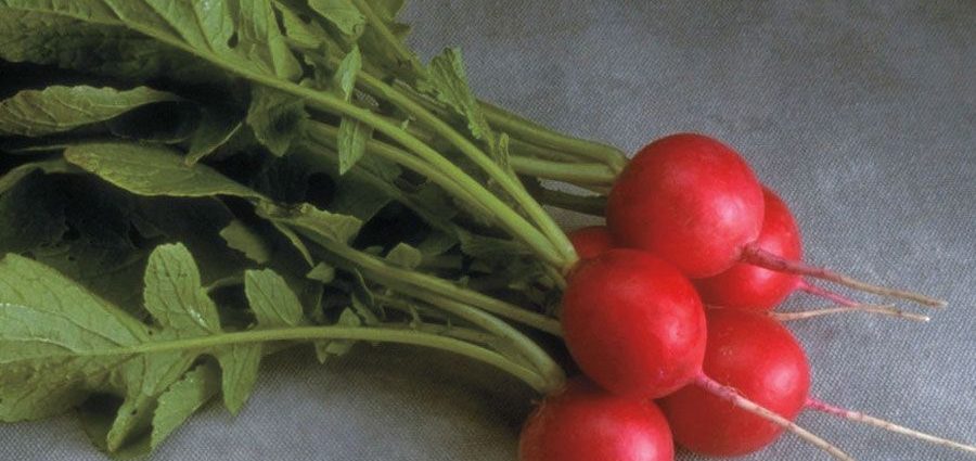 Radish Cherriet: hybrid description, characteristics