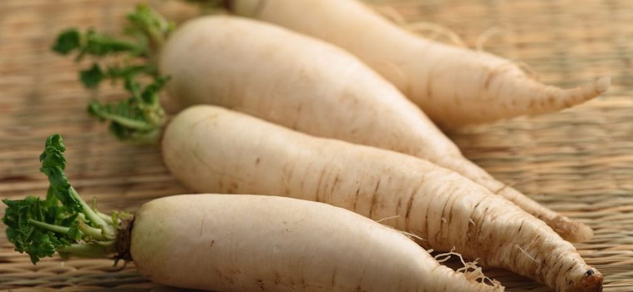 Radish for the winter