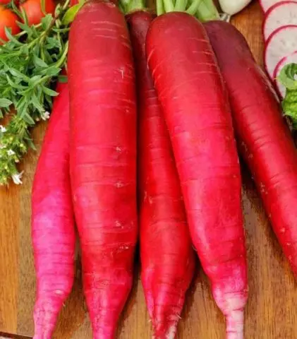 Radish Red Giant: description, photo, reviews