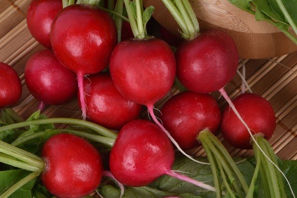 Radish seeds: the best varieties for open ground, for the Moscow region, for Siberia, for the regions