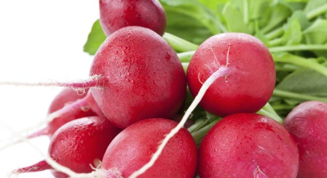 Radish seeds: the best varieties for open ground, for the Moscow region, for Siberia, for the regions