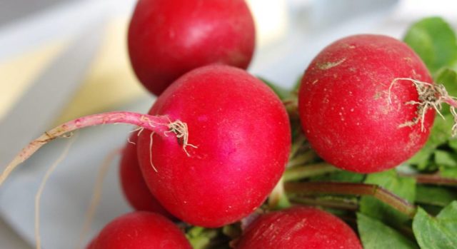 Radish seeds: the best varieties for open ground, for the Moscow region, for Siberia, for the regions