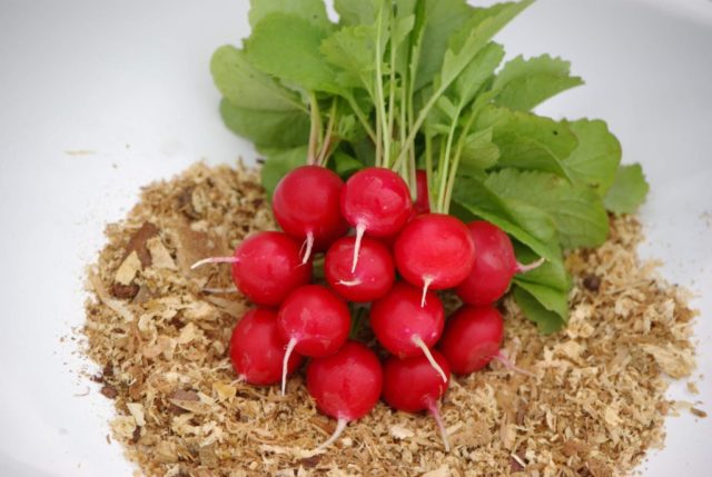 Radish seeds: the best varieties for open ground, for the Moscow region, for Siberia, for the regions