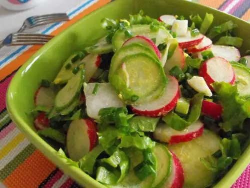 Radishes for the winter: preparations, salad recipes