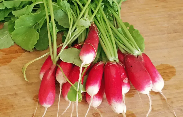 Radishes French Breakfast