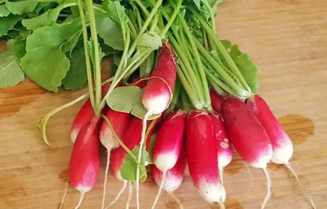 Radishes on the windowsill: growing in winter, spring, in an apartment, on a balcony, at home, sowing and care