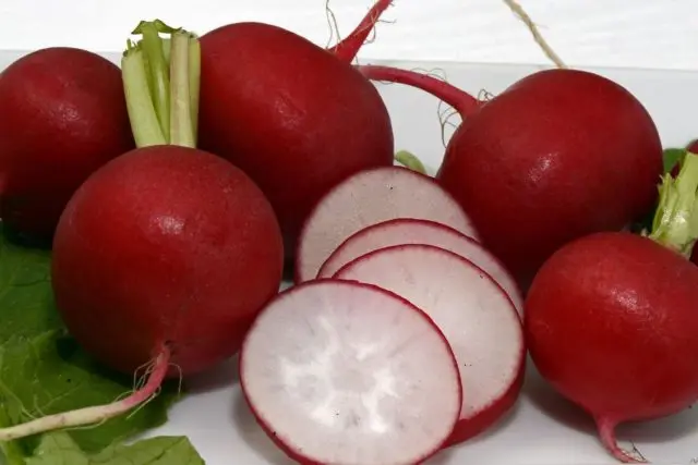 Radishes resistant to shooting (Non-shooting): varieties with descriptions and photos