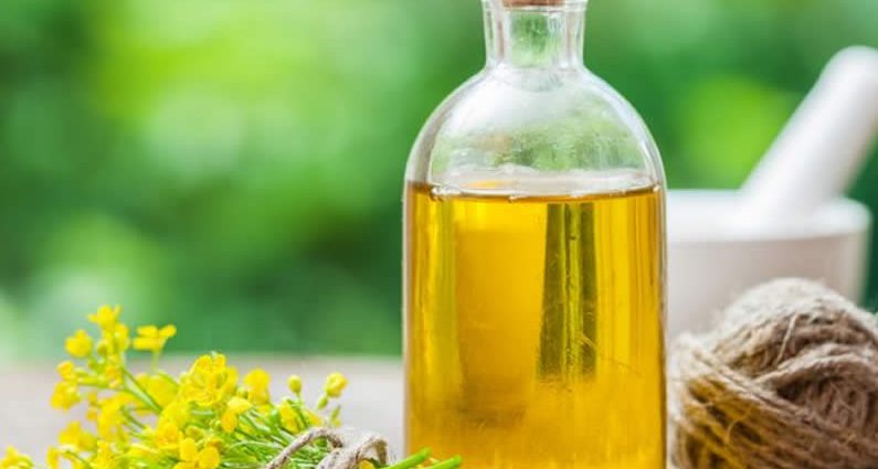 Rapeseed oil &#8211; a beneficial choice for our health