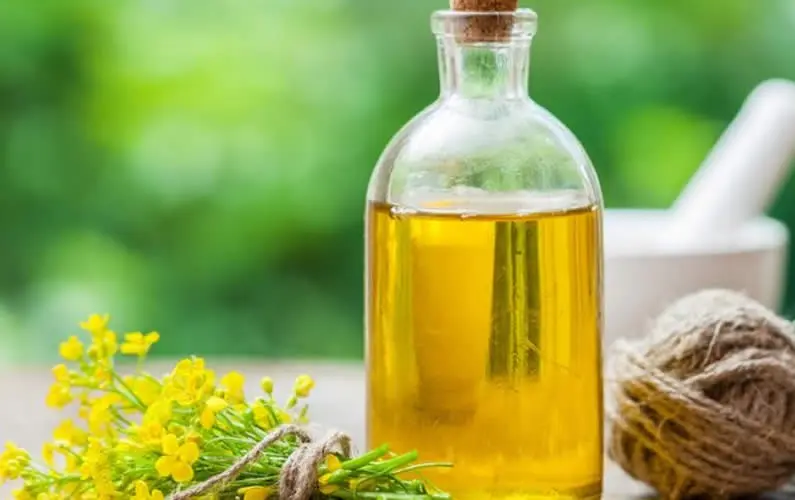 Rapeseed oil &#8211; a beneficial choice for our health