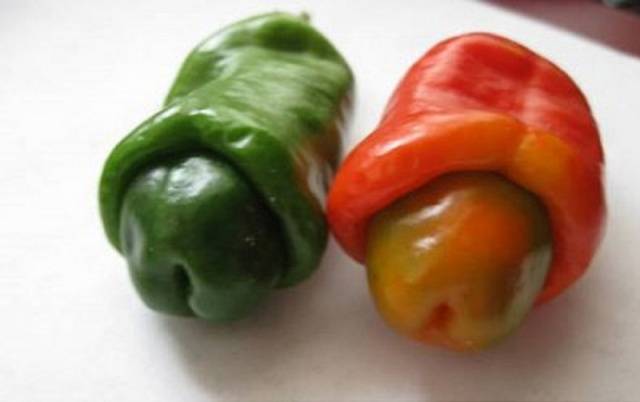 Rare varieties of pepper 