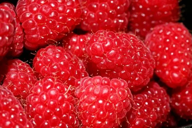 Raspberry Balm