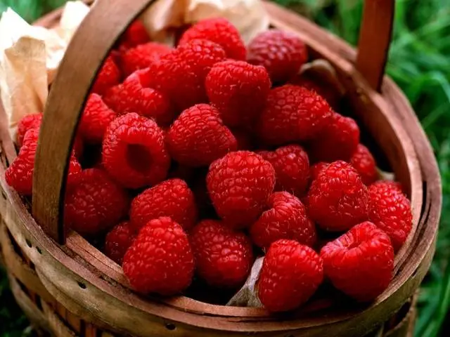 Raspberry Balm